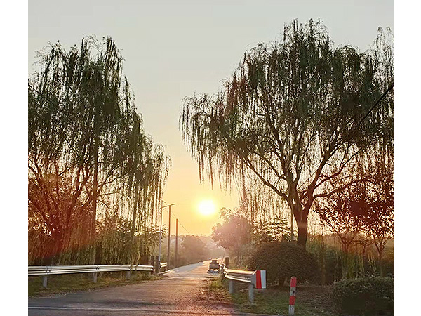 国庆假期beat365数控团建1-登山烧烤篇